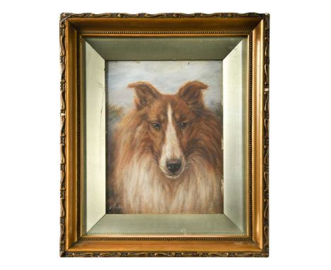§ Edward Aistrop (British, active 1880-1920) Portrait of a collie dogsigned 'EAISTROP' (lower left)oil on board21.5 x 16.5cm3