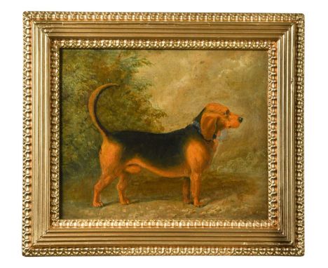 English School (19th century) Portrait of a dog, a dachshundoil on board18.5 x 23cm27 x 31cm framed