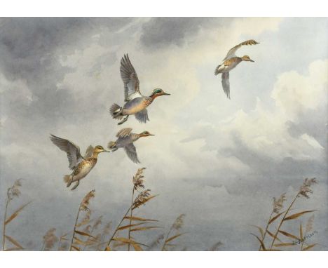 § John Cyril Harrison (British, 1898-1985) Green-winged teal signed 'J.C.Harrison' (lower right) watercolour 33 x 46cmProvena