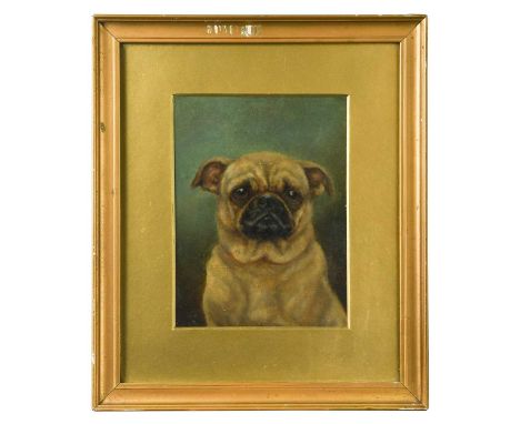 English School (late 19th century) Portrait of a pugoil on board20 x 15cm34 x 29cm framed