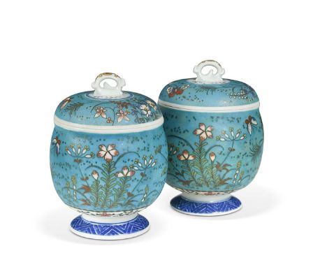 A pair of Japanese cloisonné on porcelain jars and covers, circa 1900,  decorated with insects amongst grasses and flowers, n