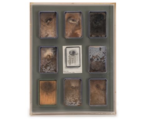 Roth, DieterHannover, 1930 - Basel, 199845 x 33,5 x 6 cm, R."Taschenzimmer", 1968/1969. Acht Plastikschachteln mit Bananensch