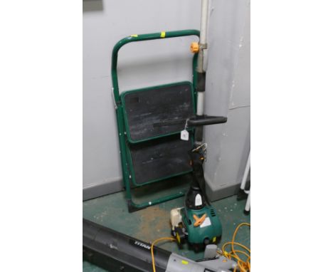 Petrol brush cutter and stepladders 