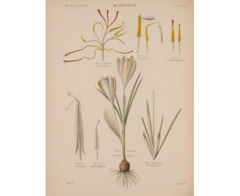 Maw (George) A Monograph of the Genus Crocus, first edition, 81 hand-coloured lithographed plates, double-page colour map and