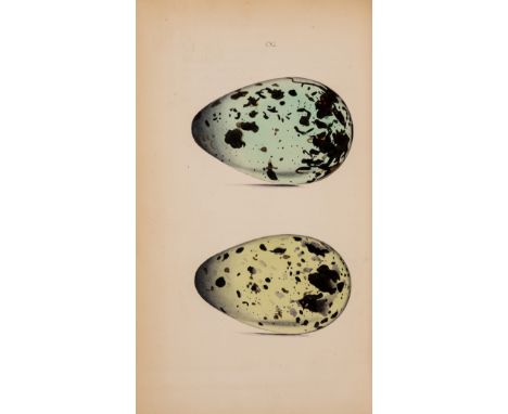 Birds.- Hewitson (William C.) Coloured Illustrations of the Eggs of British Birds, 2 vol., first edition, 137 hand-coloured p