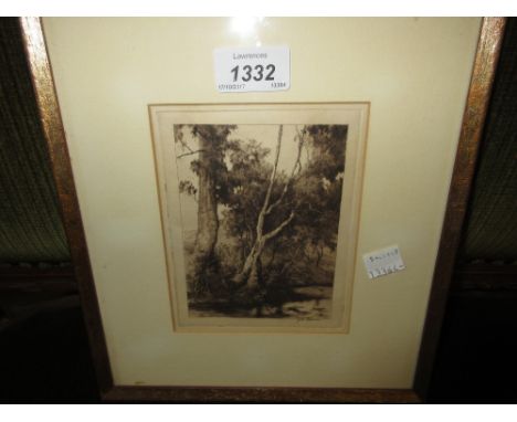 Small etching, trees in a landscape, signed in pencil, John Farmer, gilt framed, 4.5ins x 3.5ins