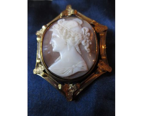 19th Century carved shell cameo portrait brooch housed in a gilt metal frame