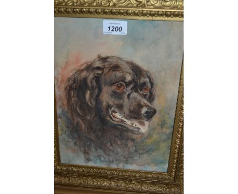 Gilt framed watercolour, portrait of a dog, monogrammed, 11.5ins x 8.5ins