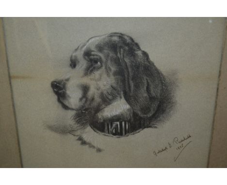 Early 20th Century pencil sketch, portrait of a dog, signed Pritchild, dated 1905, mounted in a square silvered frame