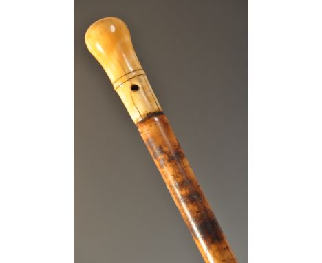 A late 17th Century ivory topped walking stick cane having a tapering malacca shaft with brass ferrule and ivory knob handle.