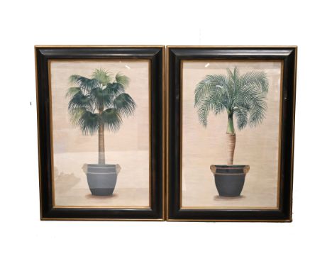 Two large decorative prints of Palms in Ornate Urns, in part gilded moulded wood frames, glazed (a pair).&nbsp;89cm x 59cm.&n