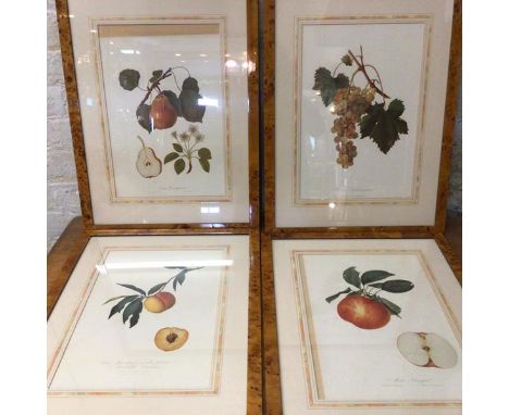 A collection of four reproduction prints, depicting fruit, including pears, grapes, peaches and apples, (62cm x 46cm)