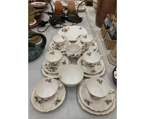 A ROYAL VALE TEASET WITH ROSE DECORATION TO INCLUDE A CAKE PLATE, CUPS, SAUCERS, SIDE PLATES, CREAM JUG AND SUGAR BOWL 