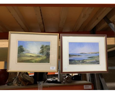 TWO FRAMED OIL PAINTINGS, ONE A COUNTRYSIDE SCENE, THE OTHER A SEASCAPE 