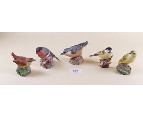A group of five Royal Worcester birds comprising bullfinch, wood warbler, nuthatch, marsh tit and wren