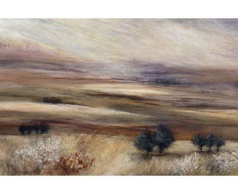 Rosemary Abrahams (Yorkshire c1945-): 'Late Night Light', acrylic on canvas signed and titled verso 80cm x 120cm 