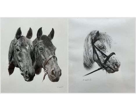M Weatherill (British Late 20th century): 'Warrior' and other Horses, two pencil drawings signed max 24cm x 22cm (2) Notes: '