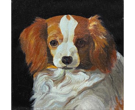 British Naive School Portrait of a Cavalier King Charles Oil on canvas
20cm x 20cm
Postage for this lot is available to the U