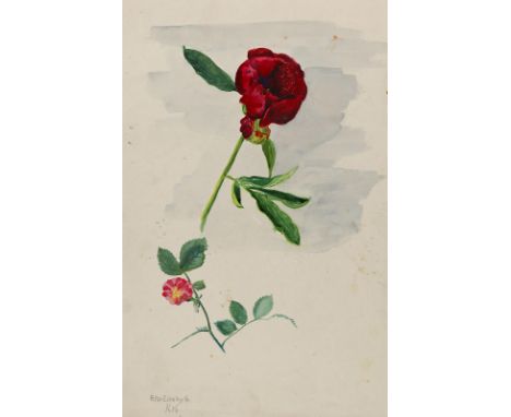 Zierhold, Elisabeth (Elsbeth Müller-Zierhold): (1895 - 1968). Pfingstrose und Wildrose. Aquarell. 1916. 40 x 27,5 cm. - Zwei 