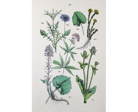 Konvolut.: 6 Bde. u. 31 Hefte. Versch. Formate u. Einbde.  ╔Enthält: Hoffmann,G.F.╗ Deutschlands Flora oder botanisches Tasch