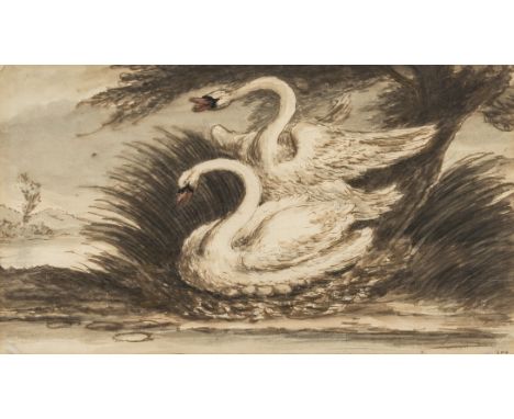 Gilpin (Sawrey, 1733-1807) Two swans, one sitting upon eggs, in a river landscape, pen and brown ink, point of the brush and 