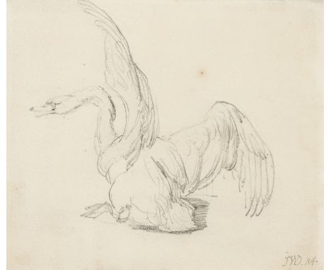Ward (James, 1769-1859) Study of swan landing from flight, graphite on cream wove paper, signed with initials in ligature low