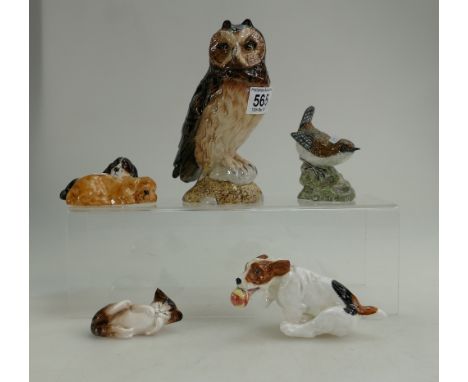 A mixed collection of items to include John  Beswick Short eared Owl decanter, Royal Doulton Dogs etc(5)