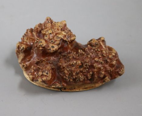 A mauchlinware 19th century root snuff box