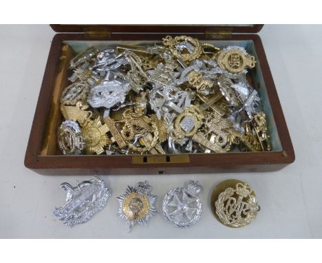 Approximately 75 British Army staybrite cap badges in a wooden box.