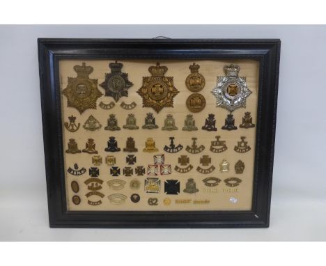 A framed display of 61 Wiltshire Regiment helmet plates, cap badges and shoulder titles.