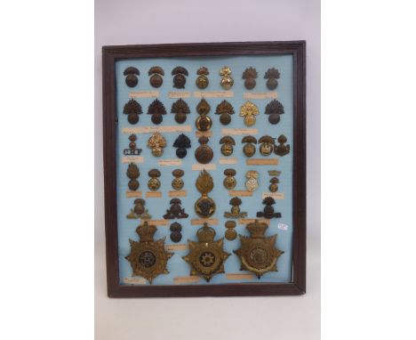 A framed display of British Fusiliers cap badges, plus three helmet plates to the Army Veterinary Department, the East Yorksh