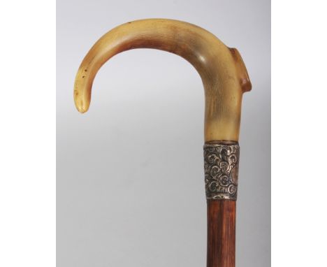 A HORN HANDLED BAMBOO WALKING STICK, with a hallmarked and embossed silver collar, the horn possibly rhinoceros horn, 35.75in