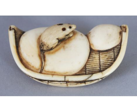 A GOOD JAPANESE EDO/MEIJI PERIOD IVORY NETSUKE OF A RAT ON A WINNOWING TRAY, 2in wide.