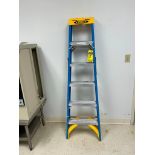Werner 250 LB. Cap. Step Ladder