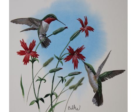 Don Balke (North Carolina, B. 1933) "Hummingbirds" Signed lower right. Original Watercolor painting on Illustration Board. Pr