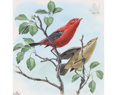 Don Balke (North Carolina, B. 1933) "Scarlet Tanager" Signed lower left. Original Watercolor on Illustration Board. Provenanc