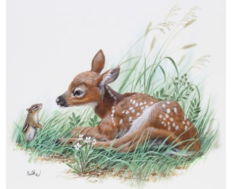 Don Balke (North Carolina, B. 1933) "White-tailed Deer" Signed lower left. Original Watercolor on Illustration Board. Provena