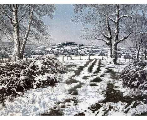 Graham Evenden (1947-)limited edition etching,Rabbit Wood,signed in pencil, 164/200,11.75 x 15.5in.