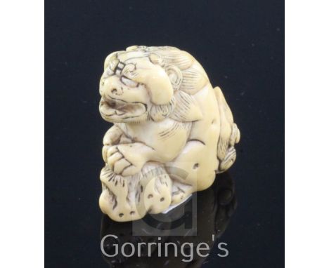 A Japanese ivory netsuke of a shi-shi, Edo period, standing on its haunches with its front paws on a rock, 3.6cm