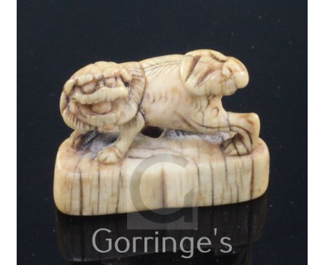 A Japanese ivory netsuke of a shi-shi, Edo period, standing on a crescent shaped plinth, with a loose ball in its mouth, 4.4c