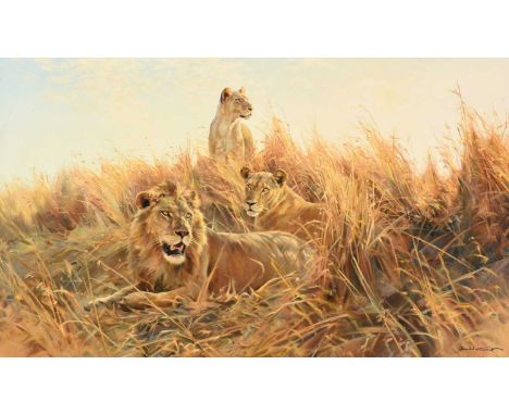 Donald Grant OBE (1924-2001) Lion and lioness in grassSigned, oil on canvas, 64cm by 124.5cmProvenance: MacConnal-Mason &amp;
