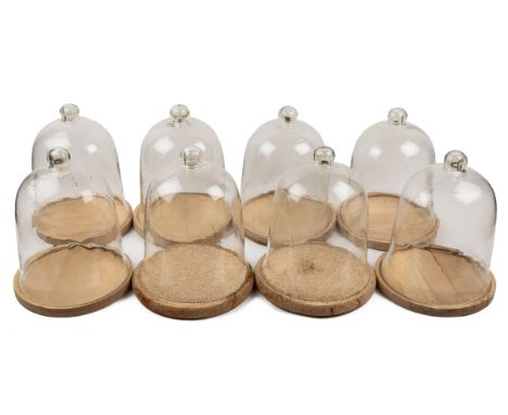 A collection of eight bell jars Six on wooden bases and two on cork bases.30cm high x 23.5cm diameterQty: 8In generally good 