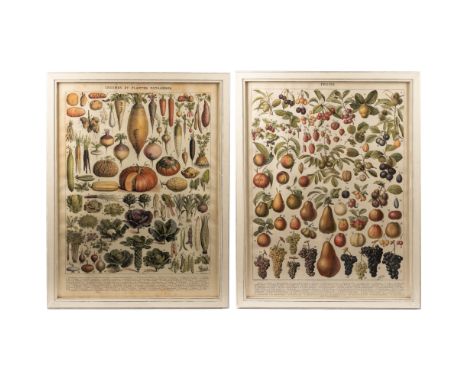 Adolphe Philippe Millot (French 1857-1921) A pair of posters of fruit and vegetable charts, titled 'LÉGUMES et PLANTES POTAGÈ