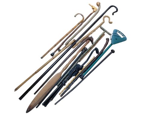 A shepherd's crook and assorted walking sticks, shooting stick, and a paddle 