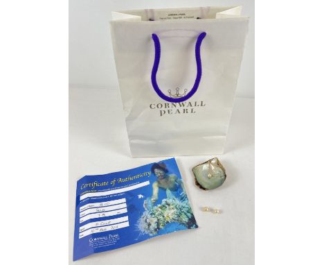 A pale gold Cornwall 7.5mm pearl with certificate and original bag. Together with a pearl on an oyster shell and a single cre