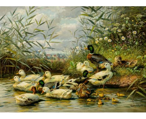 Kaplan, Hubert (geb. 1940 in München) Enten mit Küken am blühenden Teichufer   Sign. Öl auf Lwd. 30,5×40 cm. Rücks. Signatur 