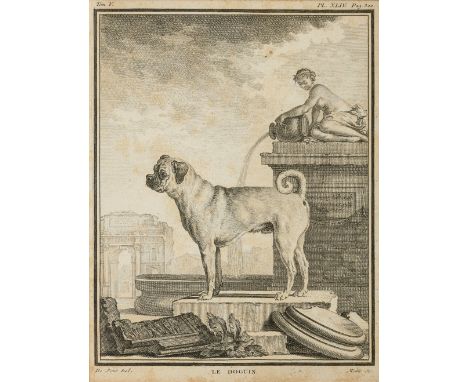 Vier Hundedarstellungen in antikisierenden Landschaften, um 1770  Le Doguin. Le Dogue. Le Braquede Bengale. Le Dougue de Fort