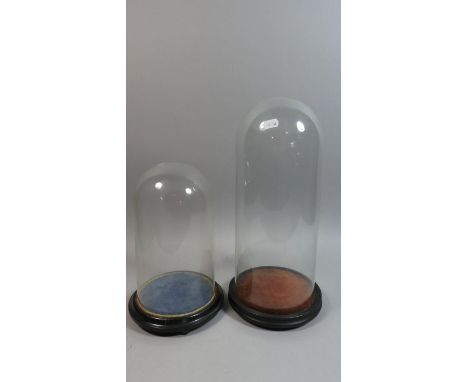 Two Glass Taxidermy or Clock Domes on Circular Wooden Plinths, 40cm and 30cm High 