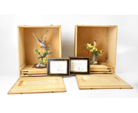 ROYAL WORCESTER; a pair of redstart and gorse cock and hen limited edition models, no.15/500, modelled by Dorothy Doughty, wi