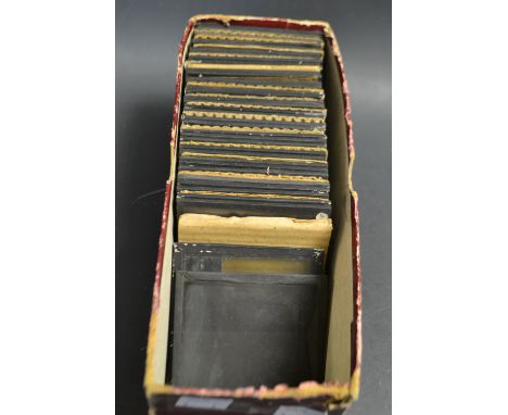 A set of magic lantern slides, wild animals, zoo, etc